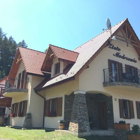 Zlote Modrzewie Duszniki Zdrój Buitenkant foto