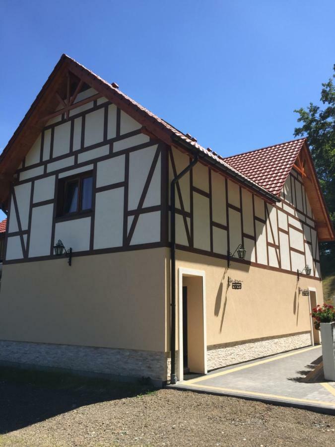 Zlote Modrzewie Duszniki Zdrój Buitenkant foto