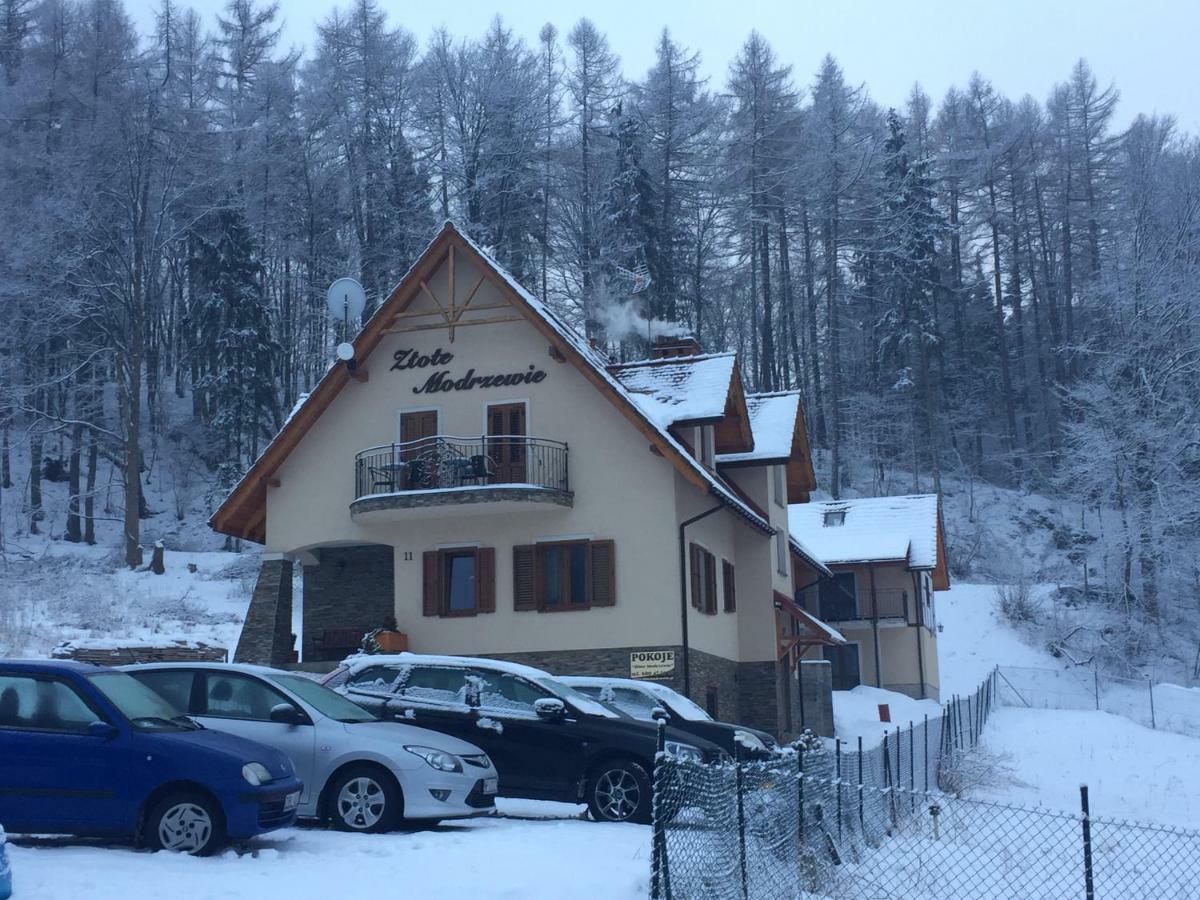 Zlote Modrzewie Duszniki Zdrój Buitenkant foto